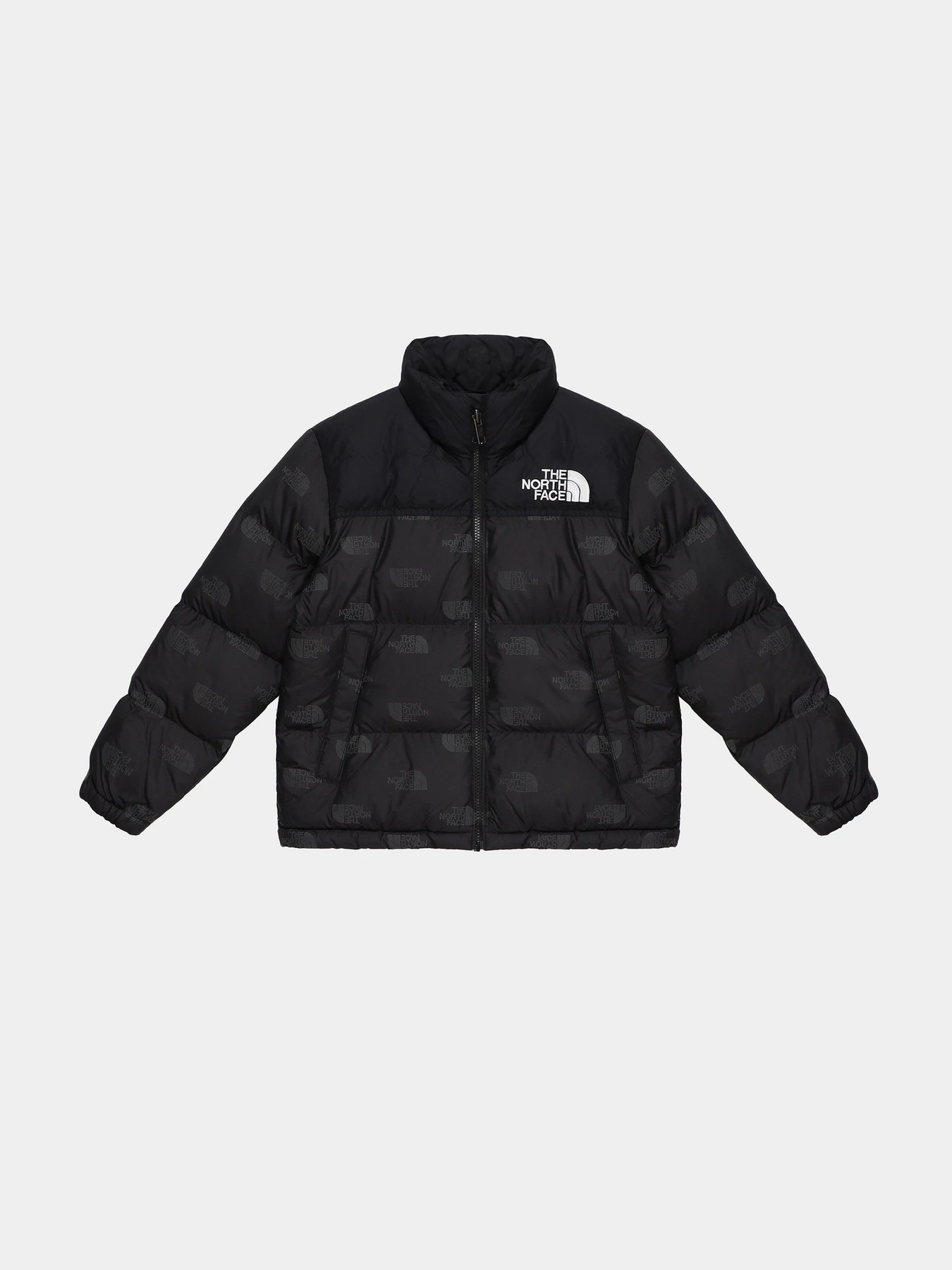 Куртки и дубленки The North Face Printed 1996 Retro Nuptse модель NF0A7WQM97M1 Фото