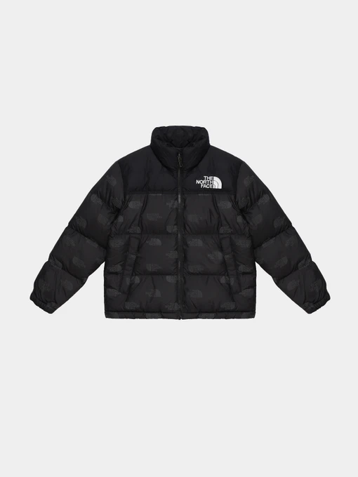 Куртки та дублянки The North Face Printed 1996 Retro Nuptse модель NF0A7WQM97M1 Фото