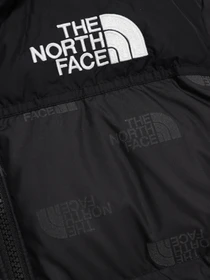 Куртки и дубленки The North Face Printed 1996 Retro Nuptse модель NF0A7WQM97M1 Фото
