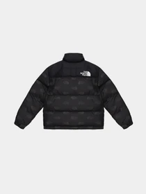 Куртки и дубленки The North Face Printed 1996 Retro Nuptse модель NF0A7WQM97M1 Фото
