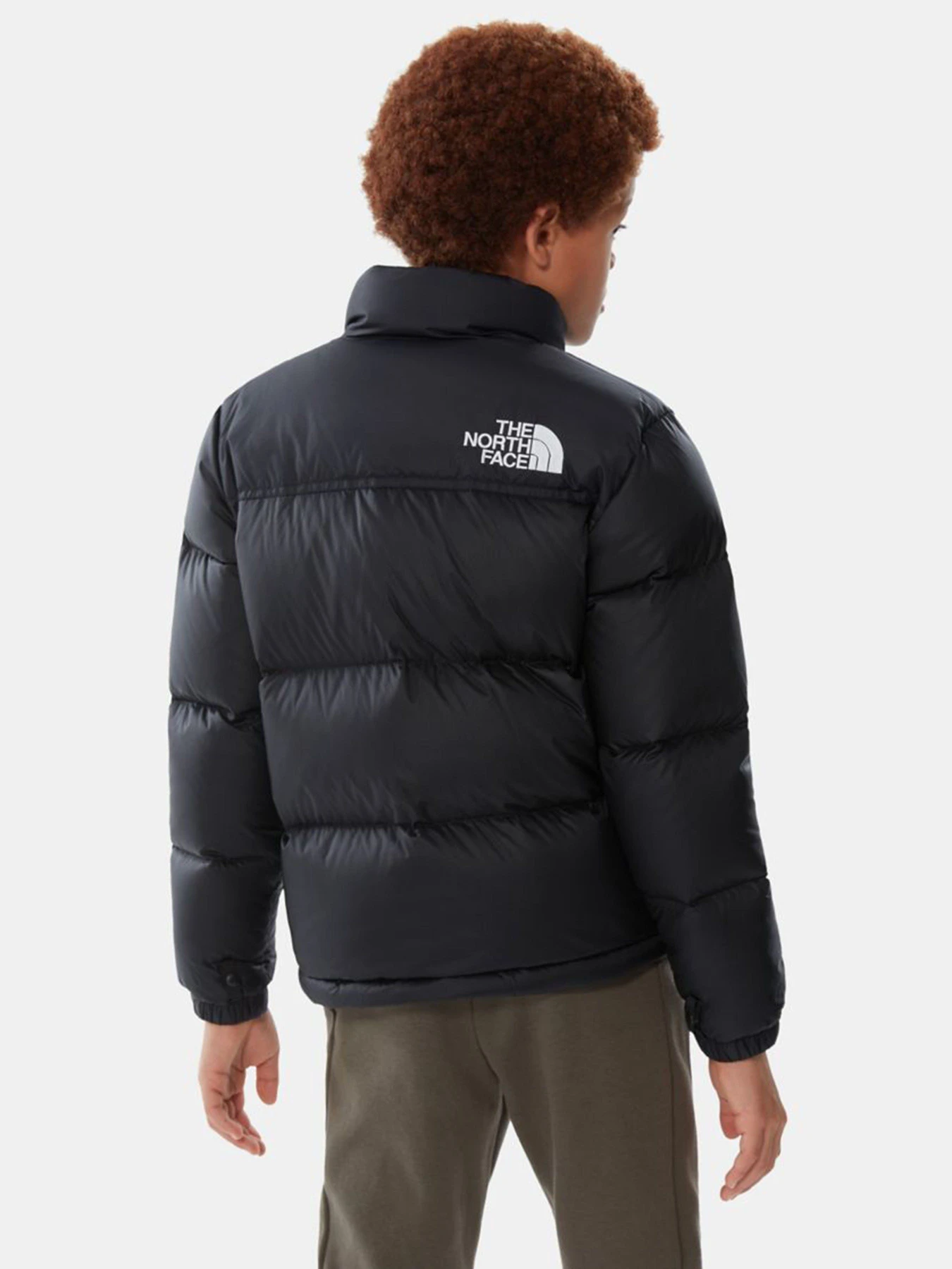 Куртки и дубленки The North Face Nuptse 1996 модель NF0A7WQOJK31 Фото