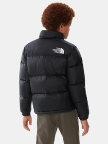 Куртки и дубленки The North Face Nuptse 1996 модель NF0A7WQOJK31 Фото
