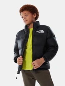 Куртки и дубленки The North Face Nuptse 1996 модель NF0A7WQOJK31 Фото