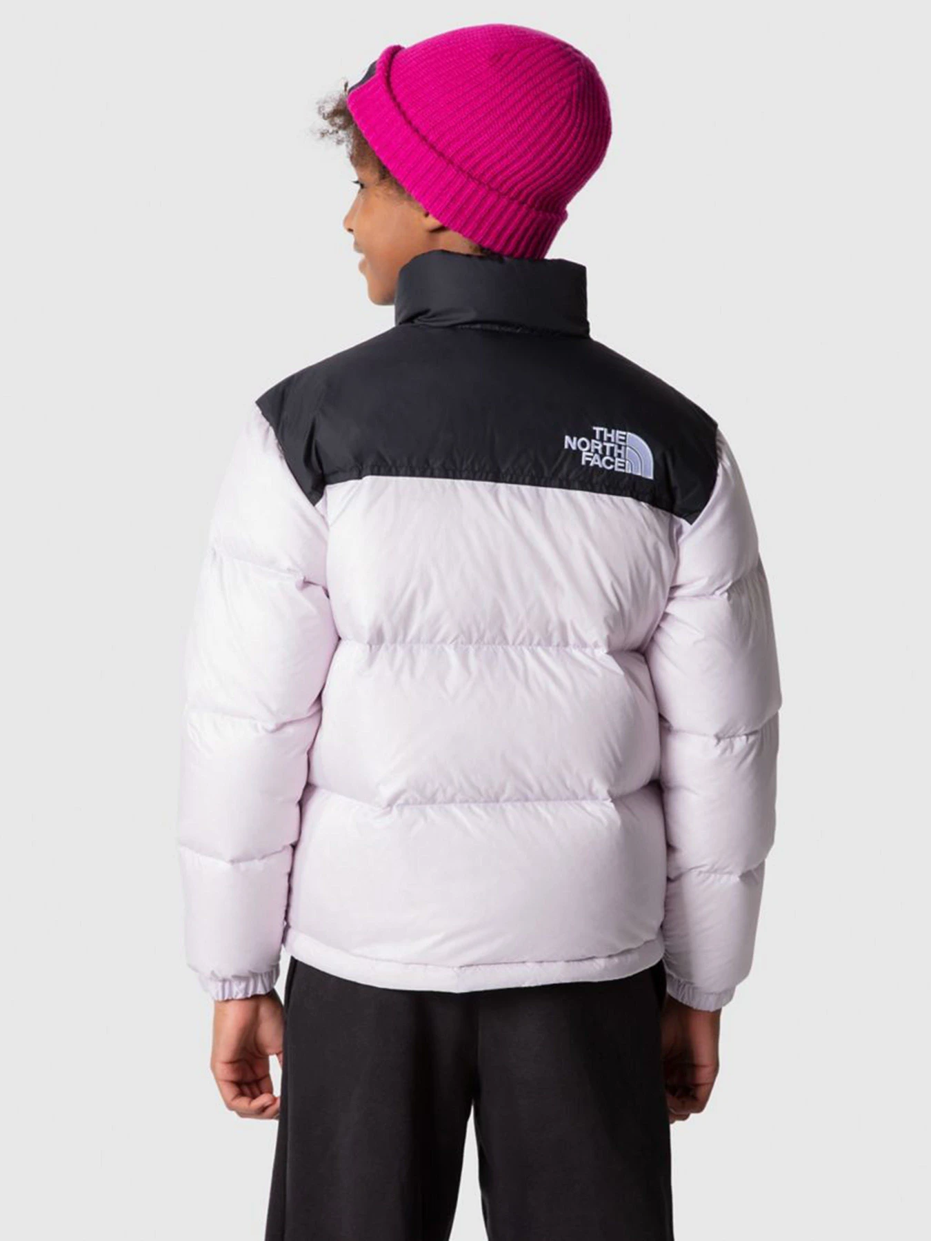 Куртки и дубленки The North Face Nuptse 1996 модель NF0A7WQO6S11 Фото