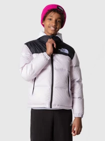 Куртки и дубленки The North Face Nuptse 1996 модель NF0A7WQO6S11 Фото