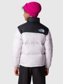 Куртки и дубленки The North Face Nuptse 1996 модель NF0A7WQO6S11 Фото