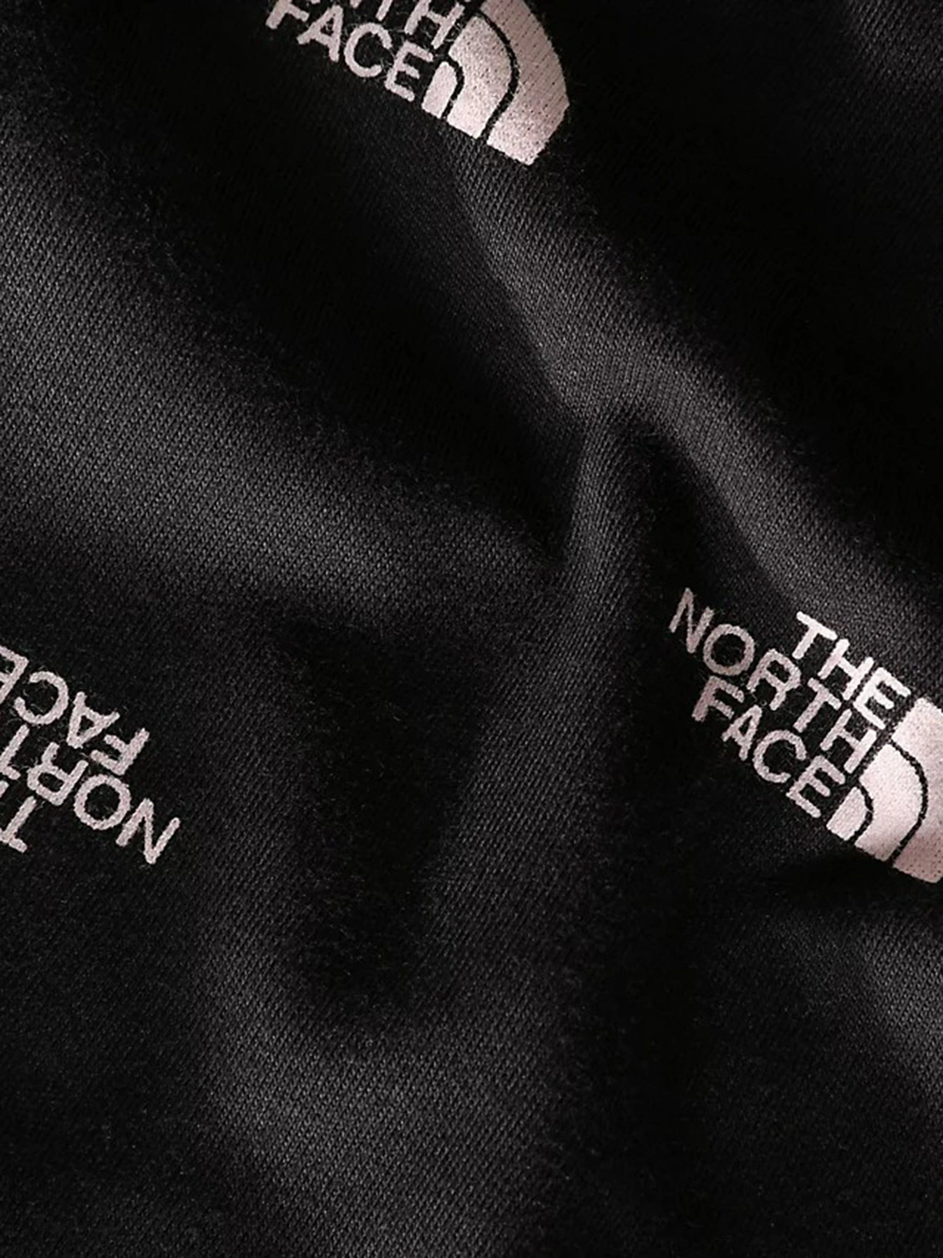 Брюки The North Face Everyday модель NF0A7X52I021 Фото