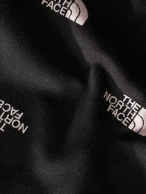 Брюки The North Face Everyday модель NF0A7X52I021 Фото