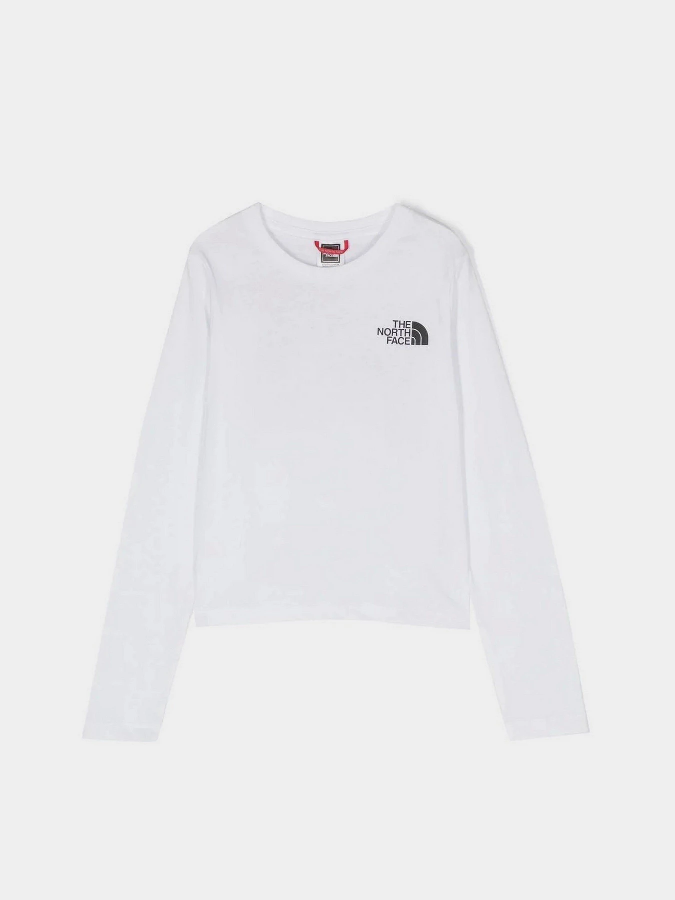 Худи и свитшоты The North Face Graphic модель NF0A7X5FFN41 Худи и свитшоты The North Face Graphic модель NF0A7X5FFN41 Фото
