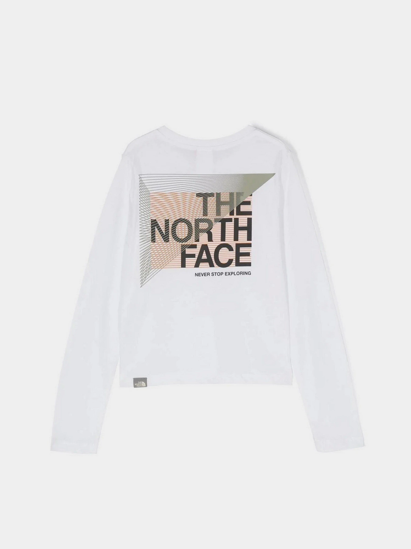 Худи и свитшоты The North Face Graphic модель NF0A7X5FFN41 Худи и свитшоты The North Face Graphic модель NF0A7X5FFN41 Фото