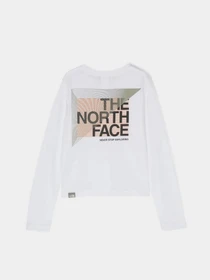 Худи и свитшоты The North Face Graphic модель NF0A7X5FFN41 Фото