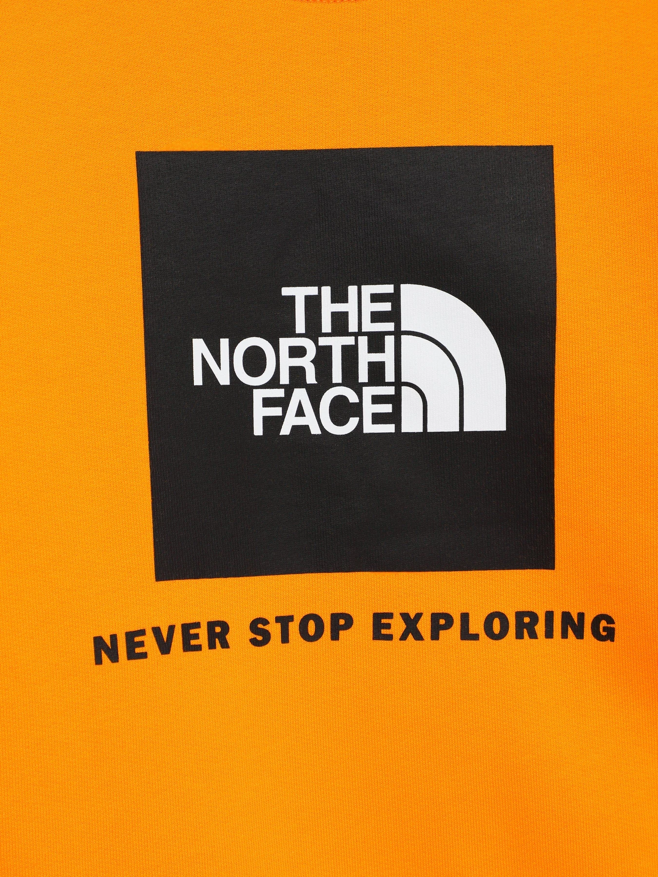 Худи и свитшоты The North Face Box Kids' Crew модель NF0A7X5978M1 Худи и свитшоты The North Face Box Kids' Crew модель NF0A7X5978M1 Фото
