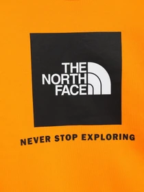 Худи и свитшоты The North Face Box Kids' Crew модель NF0A7X5978M1 Фото