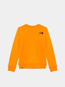 Худи и свитшоты The North Face Box Kids' Crew модель NF0A7X5978M1 Фото