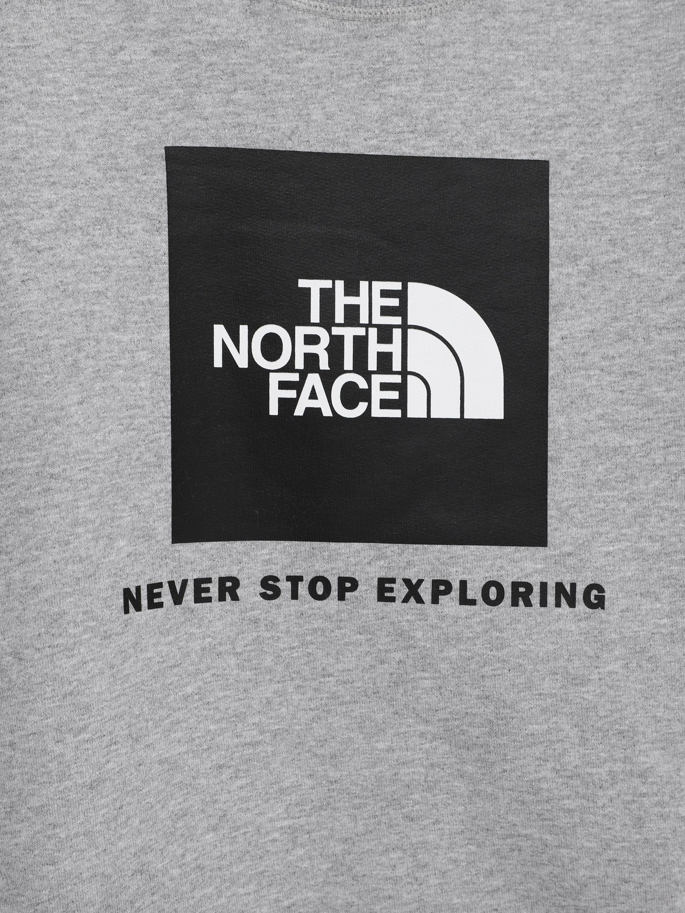 Худи и свитшоты The North Face Box Kids' Crew модель NF0A7X59DYX1 Худи и свитшоты The North Face Box Kids' Crew модель NF0A7X59DYX1 Фото