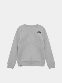 Худи и свитшоты The North Face Box Kids' Crew модель NF0A7X59DYX1 Фото