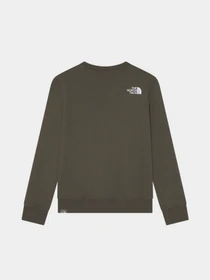 Худи и свитшоты The North Face Box Kids' Crew модель NF0A7X5921L1 Фото