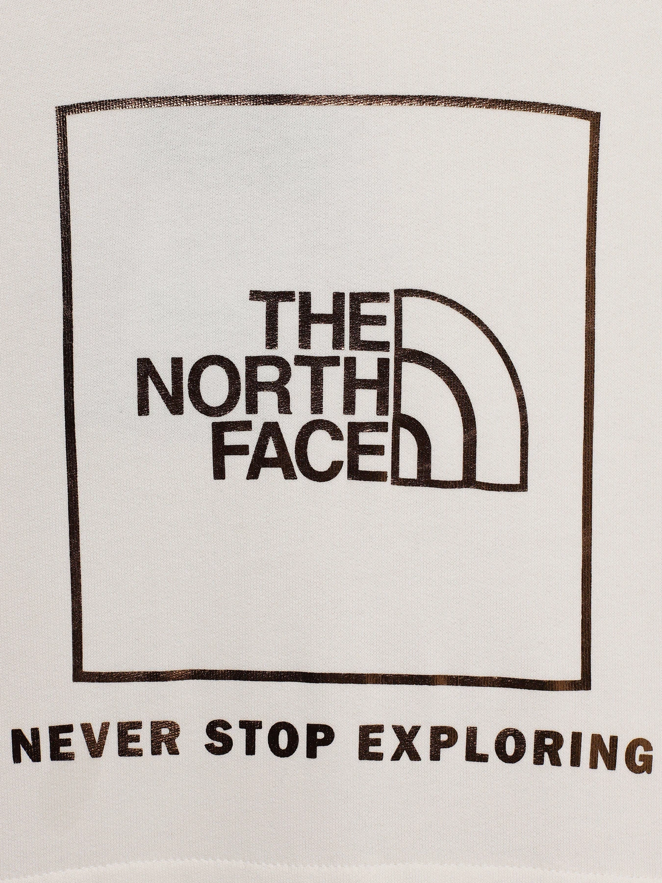 Худи и свитшоты The North Face Graphic Relaxed модель NF0A7X4TN3N1 Фото