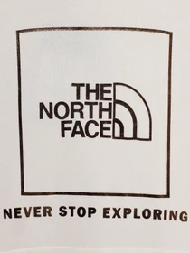Худи и свитшоты The North Face Graphic Relaxed модель NF0A7X4TN3N1 Фото