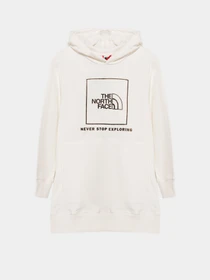 Худи и свитшоты The North Face Graphic Relaxed модель NF0A7X4TN3N1 Фото