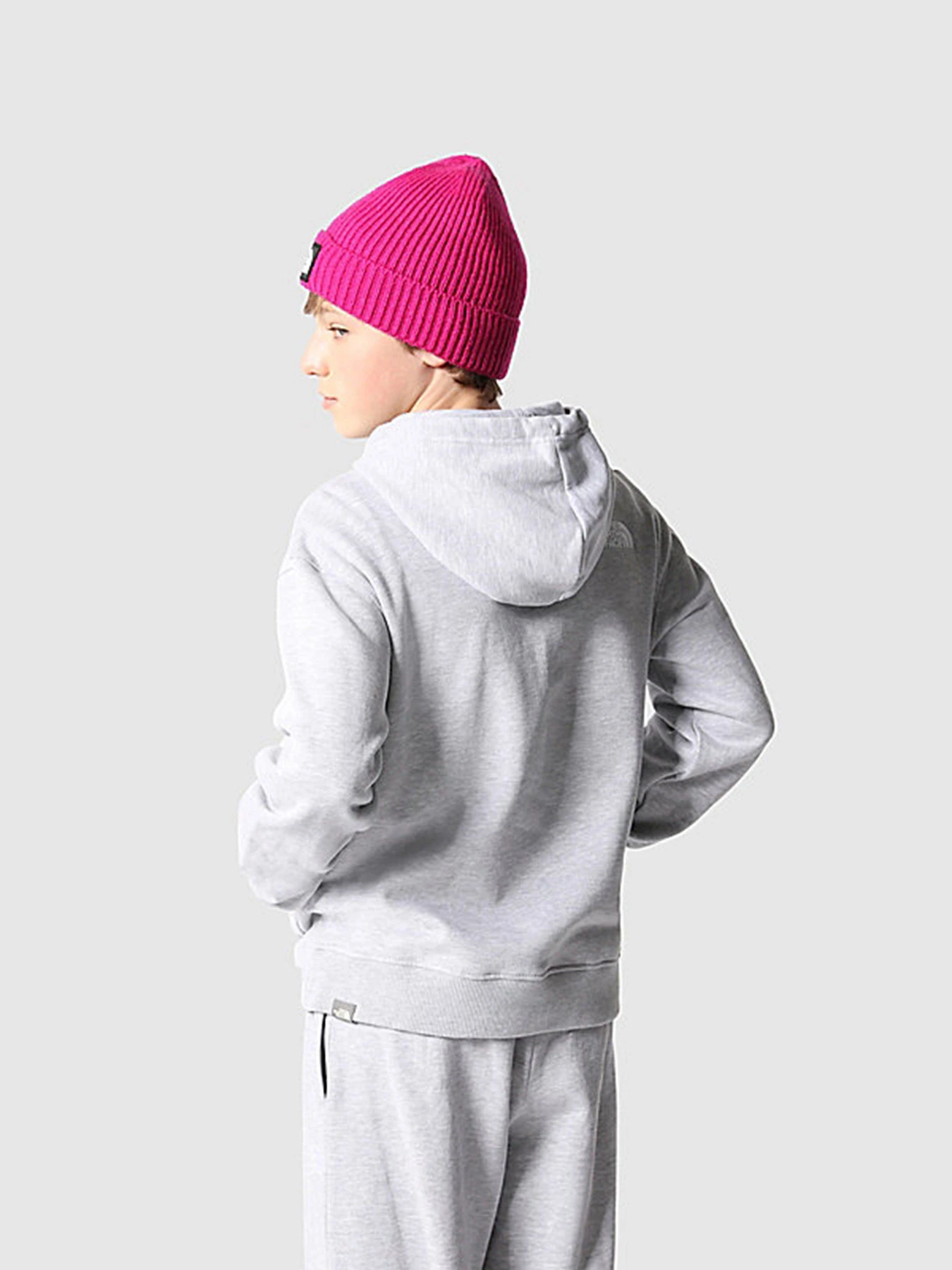 Худи и свитшоты The North Face Oversized модель NF0A7X4UDYX1 Фото