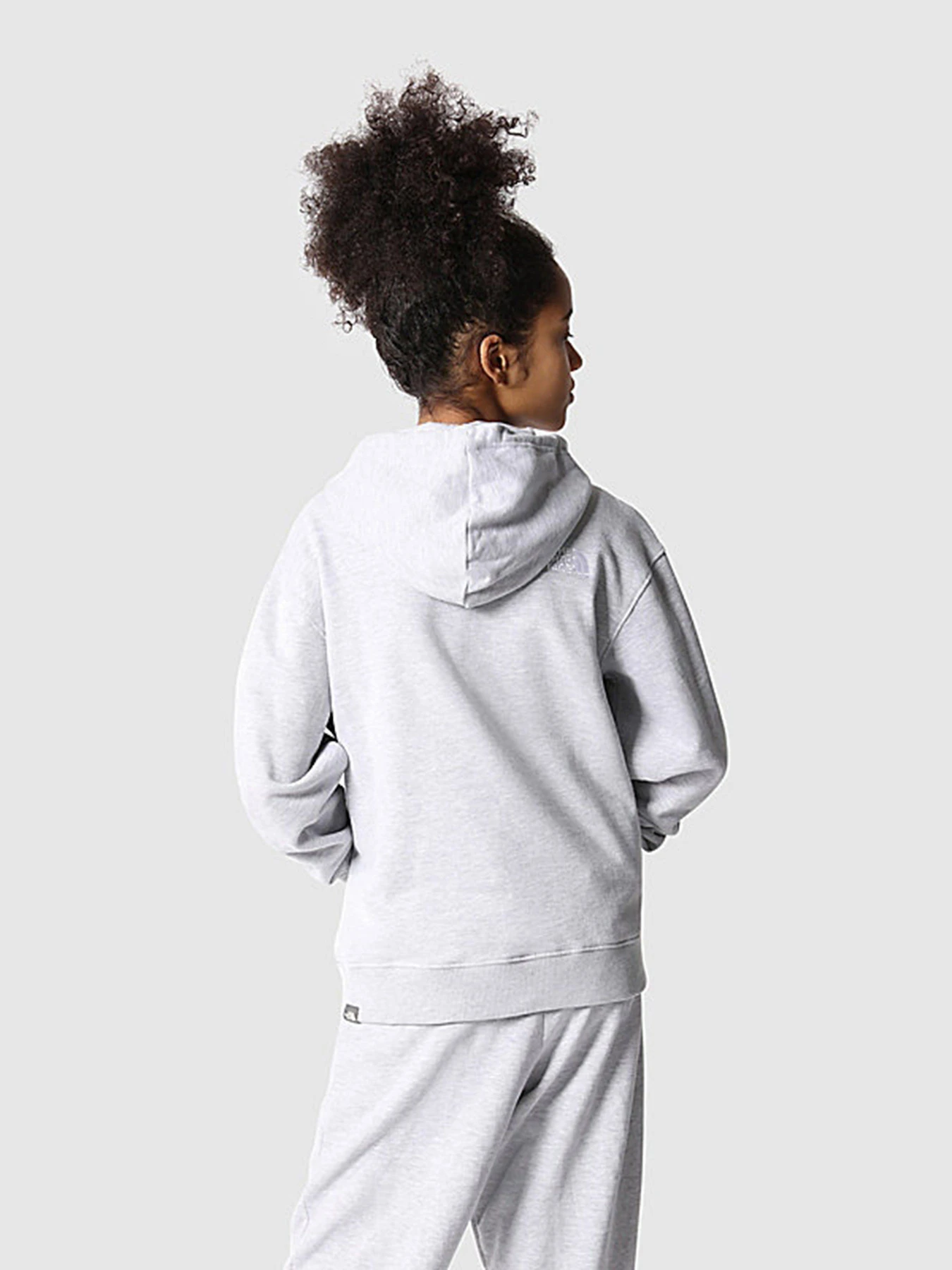 Худи и свитшоты The North Face Oversized модель NF0A7X4UDYX1 Фото