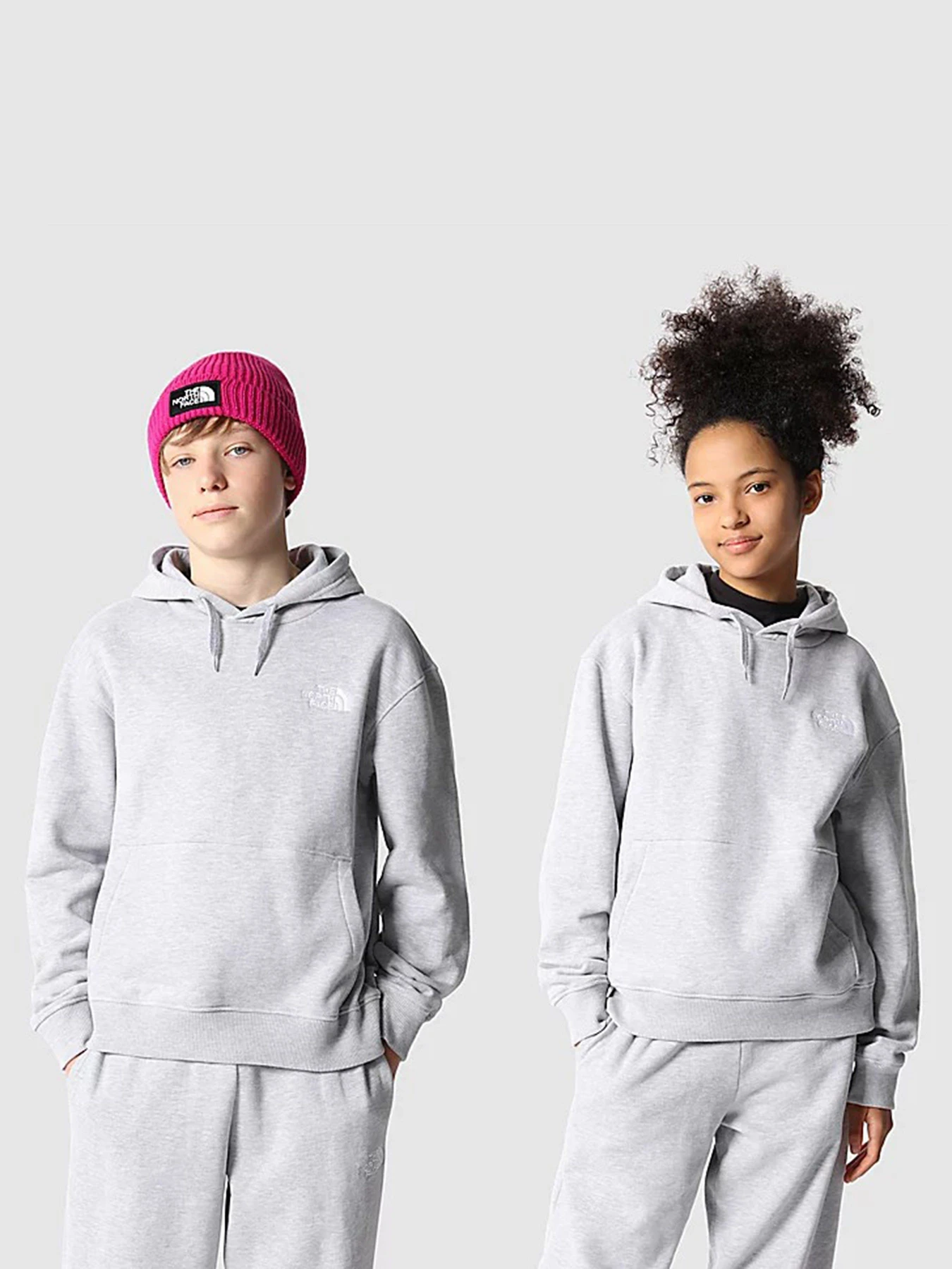 Худи и свитшоты The North Face Oversized модель NF0A7X4UDYX1 Фото