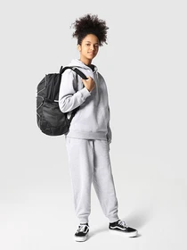 Худи и свитшоты The North Face Oversized модель NF0A7X4UDYX1 Фото