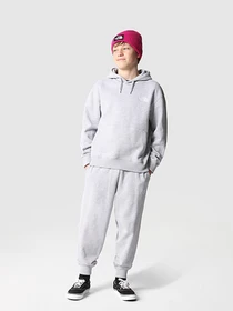 Худи и свитшоты The North Face Oversized модель NF0A7X4UDYX1 Фото
