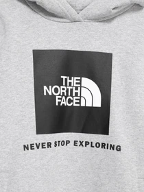 Худи и свитшоты The North Face Box модель NF0A7X56DYX1 Фото