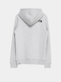 Худи и свитшоты The North Face Box модель NF0A7X56DYX1 Фото