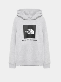 Худи и свитшоты The North Face Box модель NF0A7X56DYX1 Фото