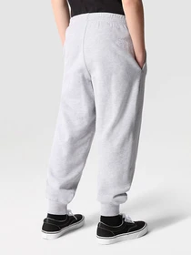 Брюки The North Face Oversized модель NF0A7X4WDYX1 Фото