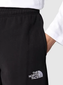Брюки The North Face Oversized модель NF0A7X4WJK31 Фото