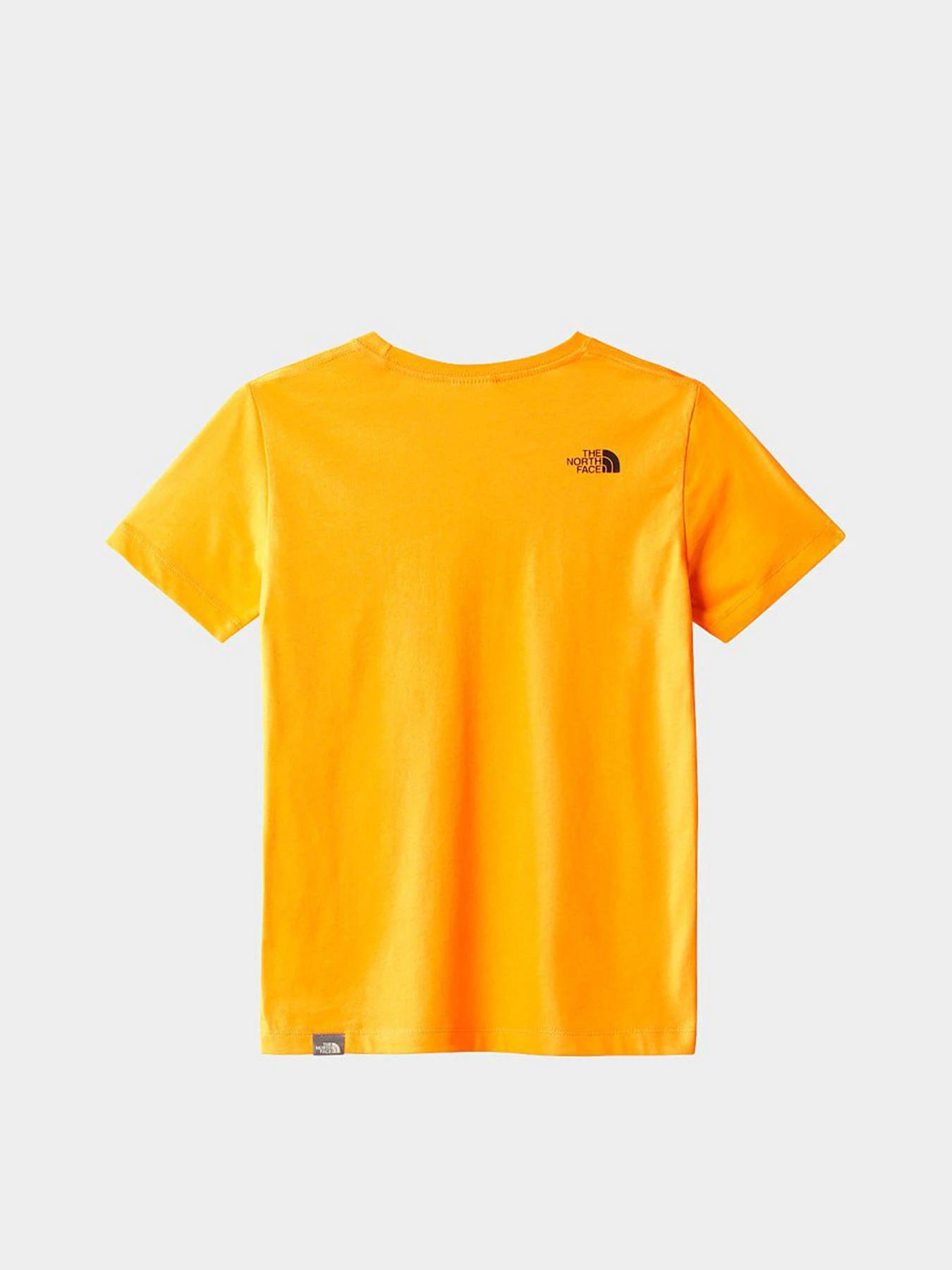 Футболки и поло The North Face teens s/s simple dome tee модель NF0A7X5G78M1 Фото