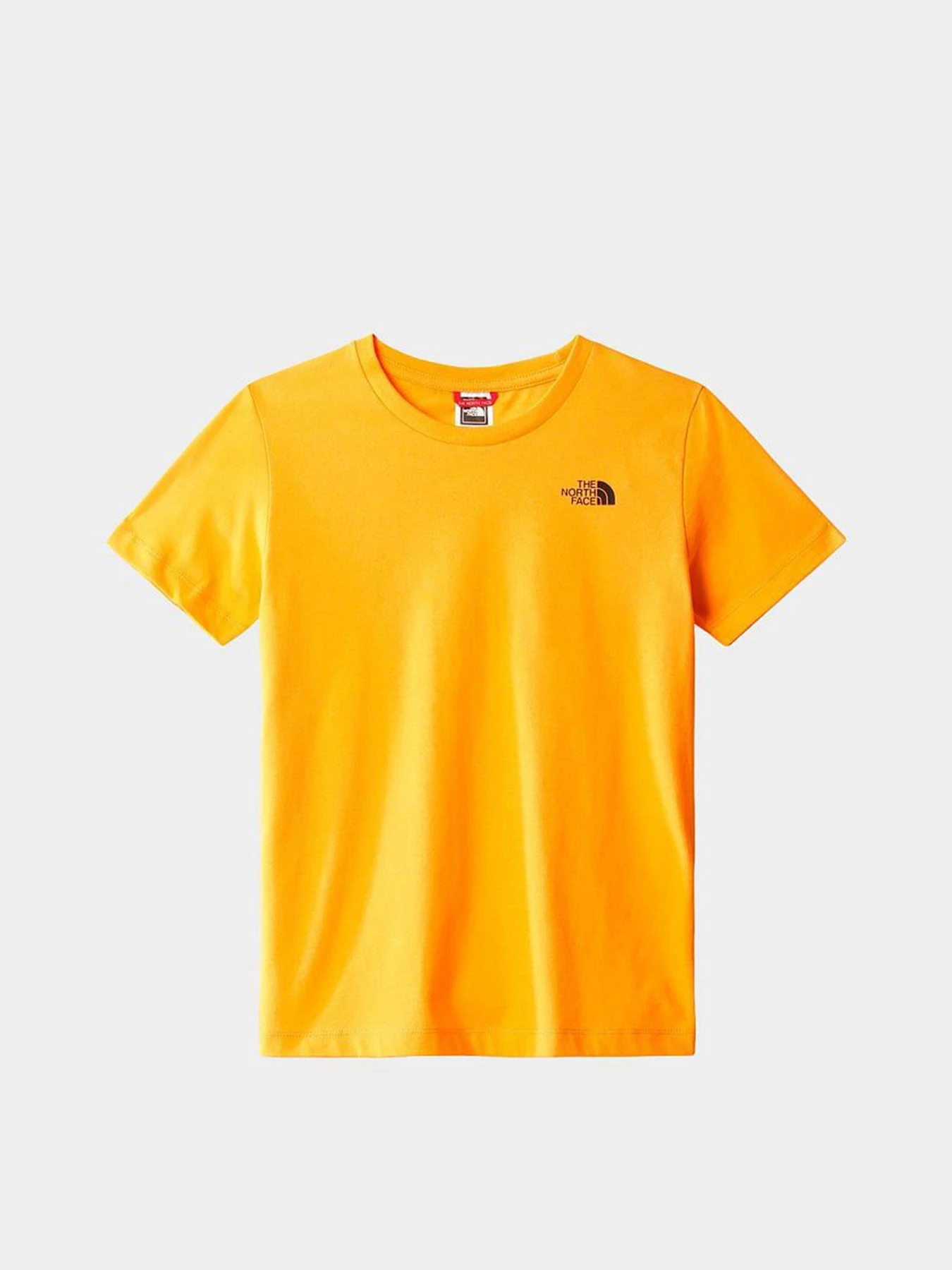 Футболки и поло The North Face teens s/s simple dome tee модель NF0A7X5G78M1 Фото