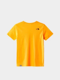 Футболки и поло The North Face teens s/s simple dome tee модель NF0A7X5G78M1 Фото