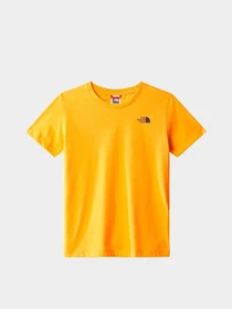 Футболки и поло The North Face teens s/s simple dome tee модель NF0A7X5G78M1 Фото