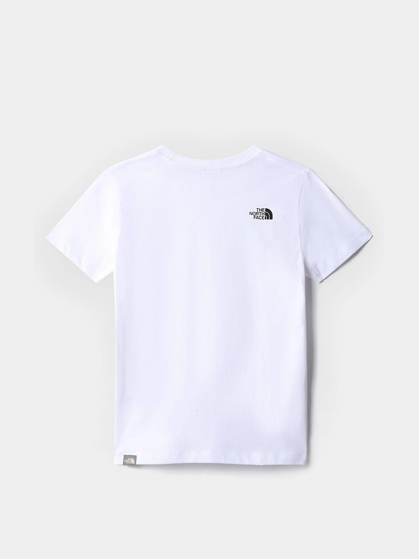 Футболки і поло The North Face teens s/s simple dome tee модель NF0A7X5GLA91 Футболки і поло The North Face teens s/s simple dome tee модель NF0A7X5GLA91 Фото