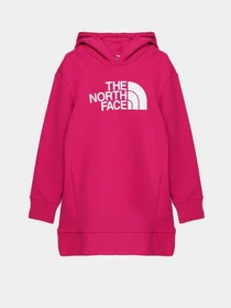 Худи и свитшоты The North Face Graphic Relaxed модель NF0A7X4T1461 Фото