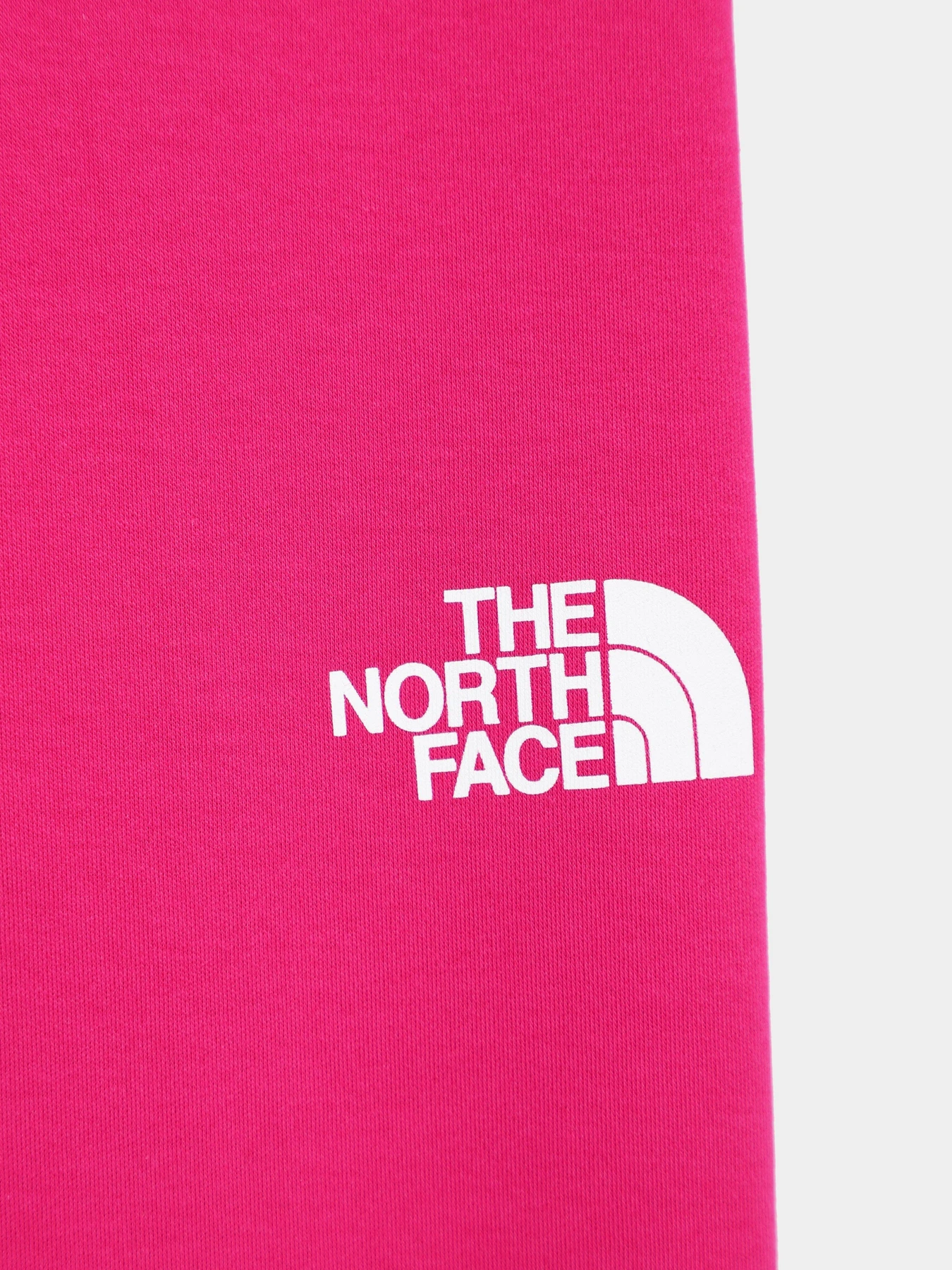 Брюки The North Face Graphic модель NF0A7X4Z1461 Брюки The North Face Graphic модель NF0A7X4Z1461 Фото