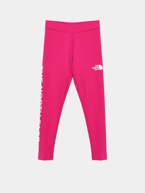 Брюки The North Face Graphic модель NF0A7X4Z1461 Фото