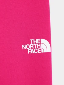 Брюки The North Face Graphic модель NF0A7X4Z1461 Фото