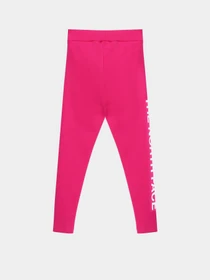 Брюки The North Face Graphic модель NF0A7X4Z1461 Фото
