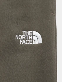 Брюки The North Face Slim-Fit Joggers модель NF0A7X5821L1 Фото