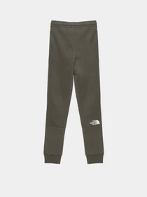 Брюки The North Face Slim-Fit Joggers модель NF0A7X5821L1 Фото
