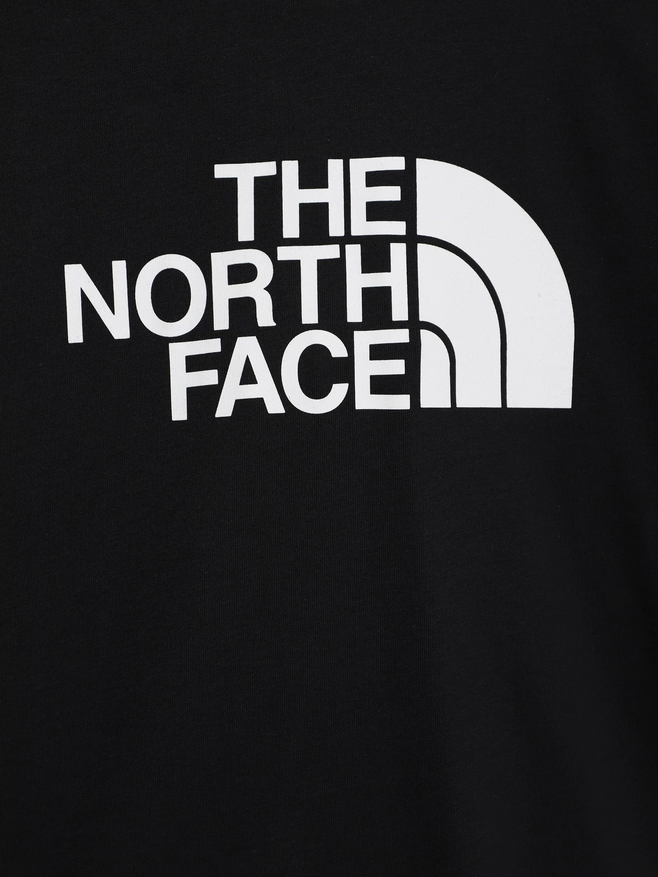 Худи и свитшоты The North Face Easy модель NF0A7X5DJK31 Худи и свитшоты The North Face Easy модель NF0A7X5DJK31 Фото