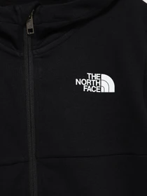 Худи и свитшоты The North Face Felpa модель NF0A7X3VJK31 Фото
