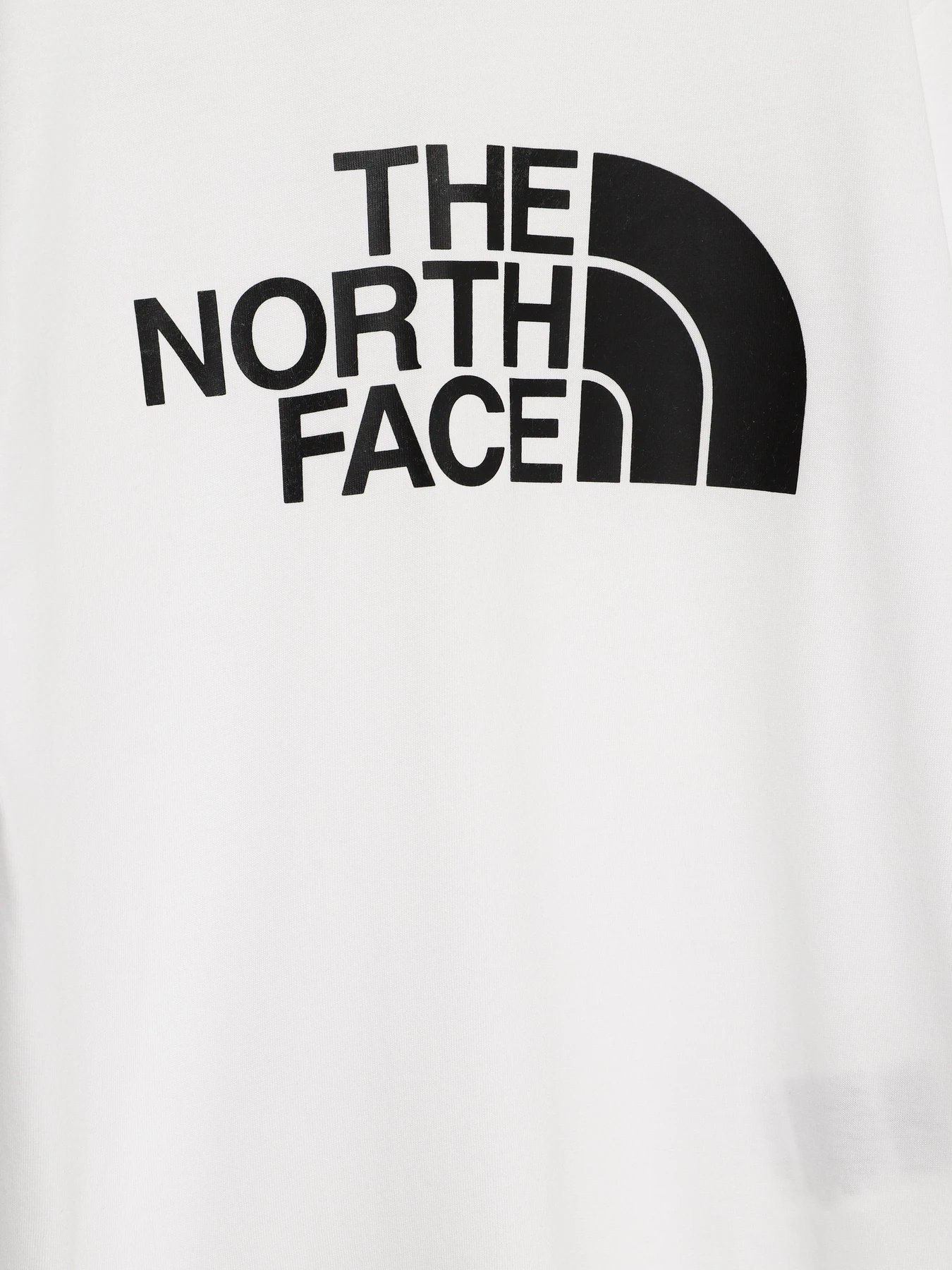 Худи и свитшоты The North Face Oversized Joggers модель NF0A7X5DFN41 Худи и свитшоты The North Face Oversized Joggers модель NF0A7X5DFN41 Фото