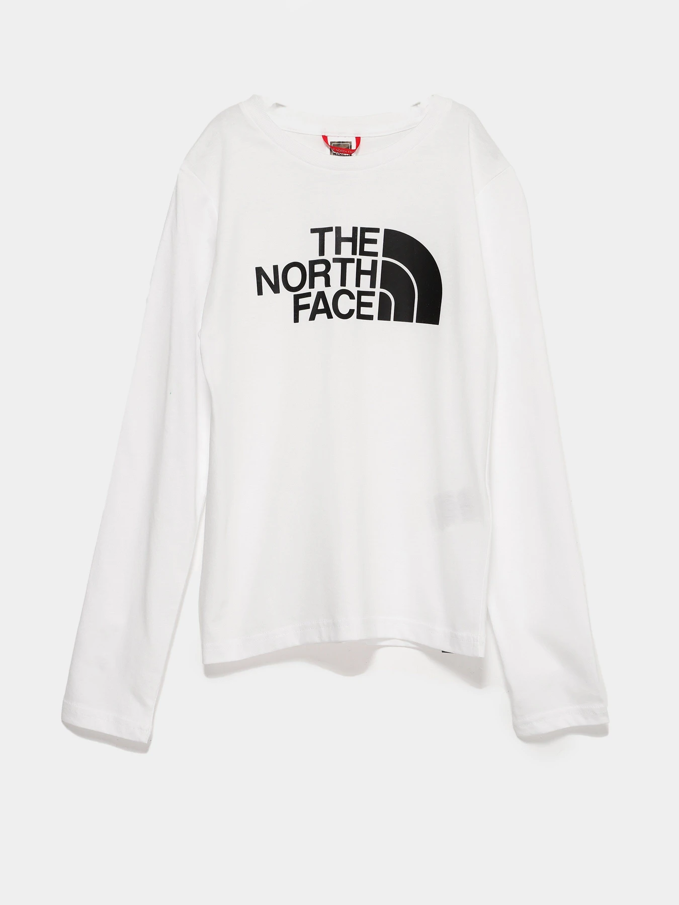 Худи и свитшоты The North Face Oversized Joggers модель NF0A7X5DFN41 Худи и свитшоты The North Face Oversized Joggers модель NF0A7X5DFN41 Фото